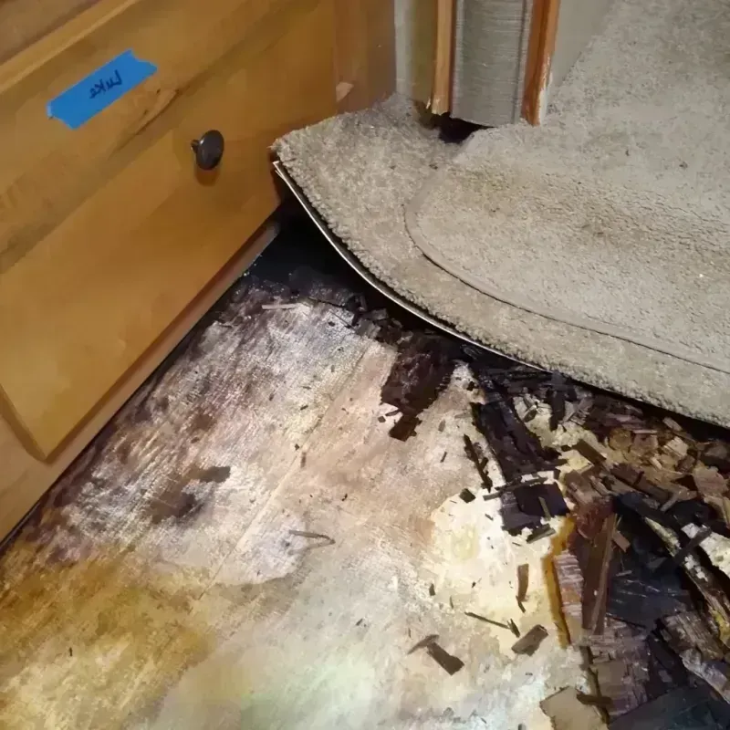 Best Wood Floor Water Damage Service in Elba, AL